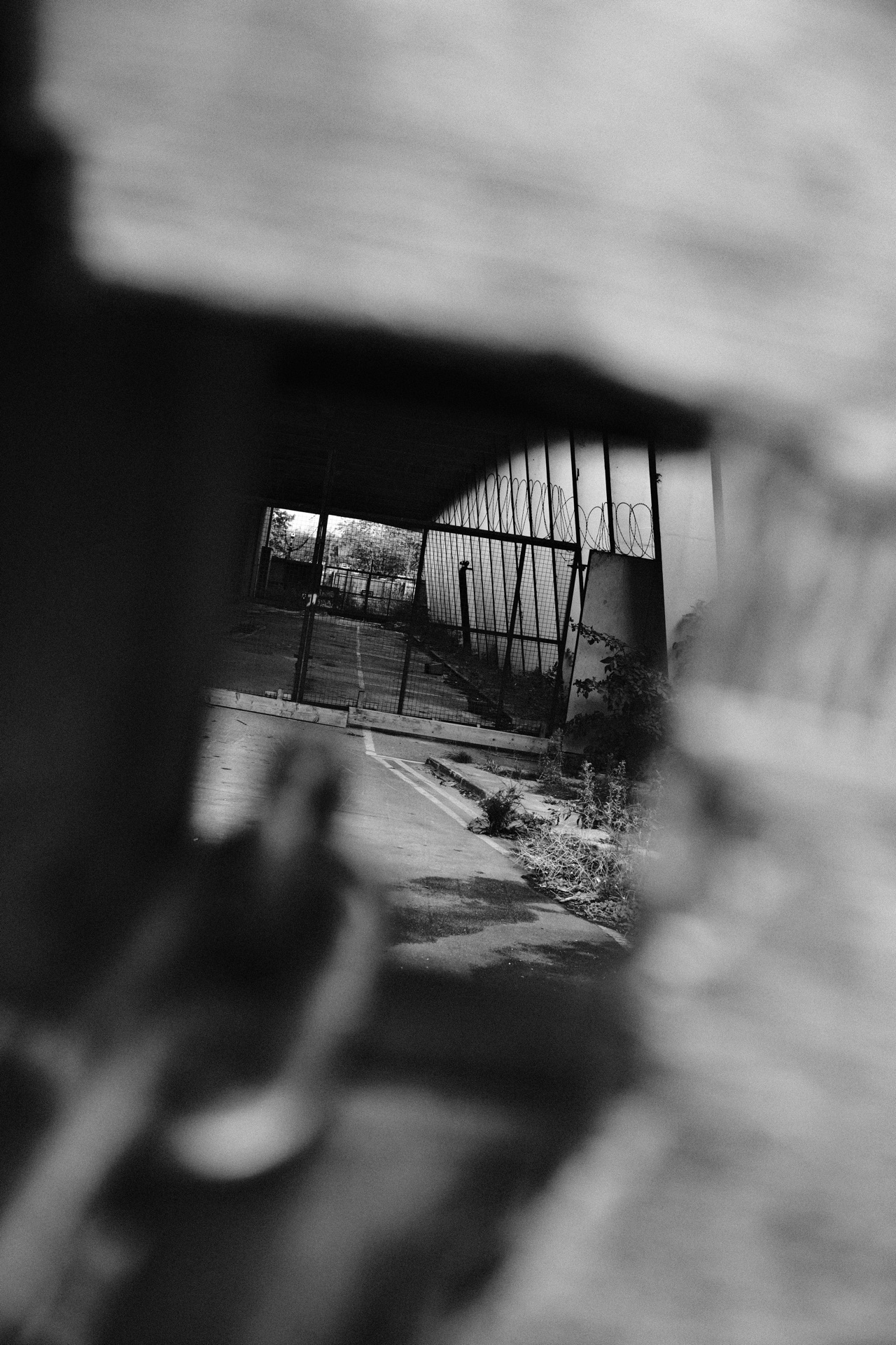 A glimpse through the locked gate